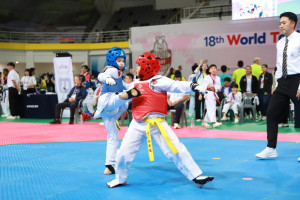 세계태권도문화엑스포 4일차 '겨루기' 경기